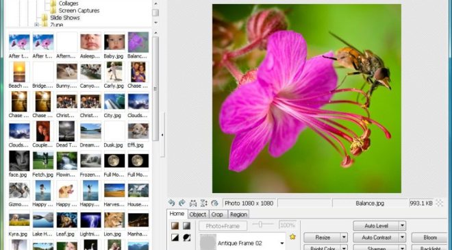 تحميل برنامج فوتو سكيب Photoscape 2023 لتركيب الصور للكمبيوتر مجانا برابط مباشر
