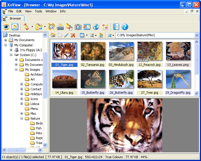 تحميل برنامج XnView 2023 عارض ومحرر الصور للكمبيوتر مجانا برابط مباشر