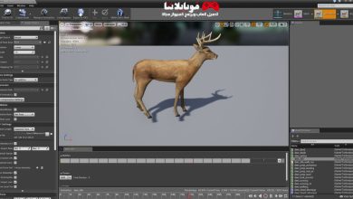 Dead Deer 3D