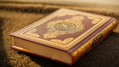 تحميل البرنامج الشامل في تفسير القرآن الكريم